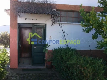 Loja para Venda em Castelo Branco