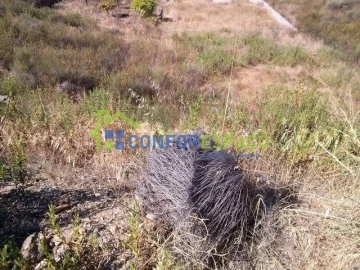 Terreno para Venda em Castelo Branco