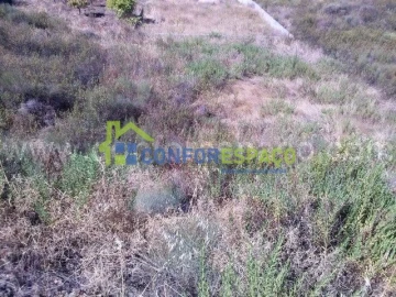 Terreno para Venda em Castelo Branco