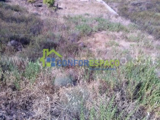 Terreno para Venda em Castelo Branco Foto 3