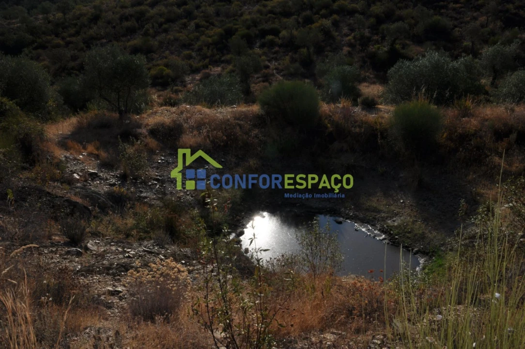 Terreno para Venda em Ladoeiro Foto 6