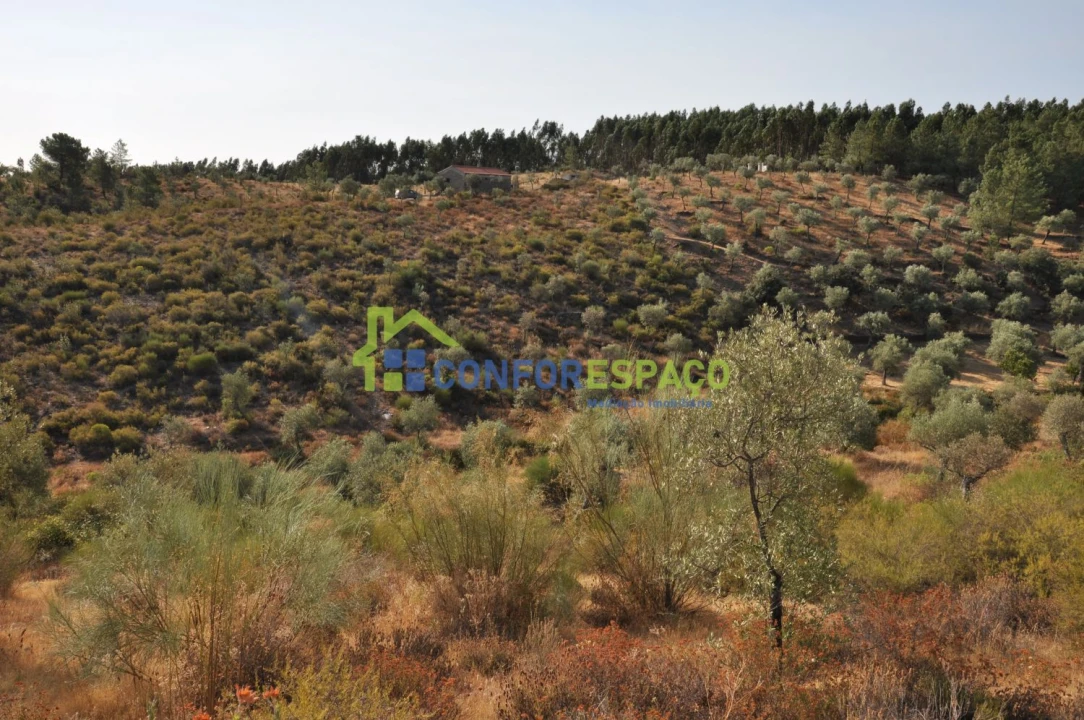 Terreno para Venda em Ladoeiro Foto 5