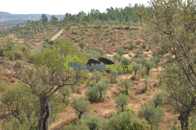 Terreno para Venda em Ladoeiro Foto 23