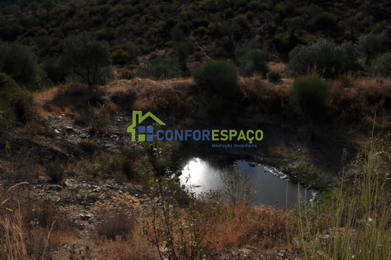 Terreno para Venda em Ladoeiro Foto 6
