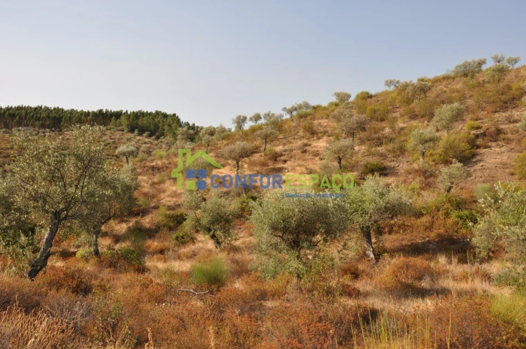 Terreno para Venda em Ladoeiro Foto 10