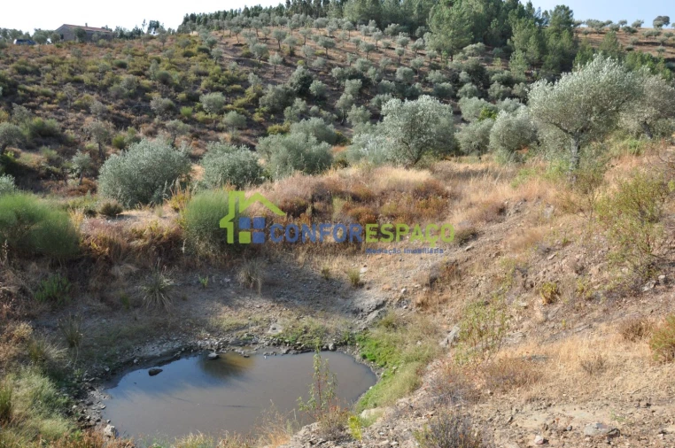 Terreno para Venda em Ladoeiro Foto 7