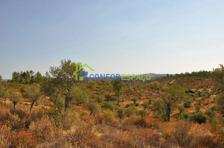 Terreno para Venda em Ladoeiro Foto 21