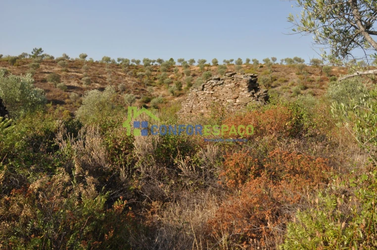 Terreno para Venda em Ladoeiro Foto 14