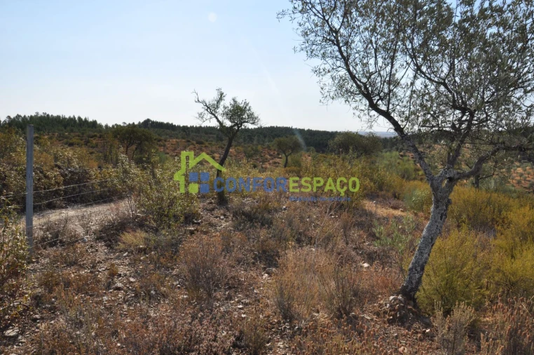 Terreno para Venda em Ladoeiro Foto 18