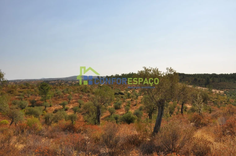 Terreno para Venda em Ladoeiro Foto 22