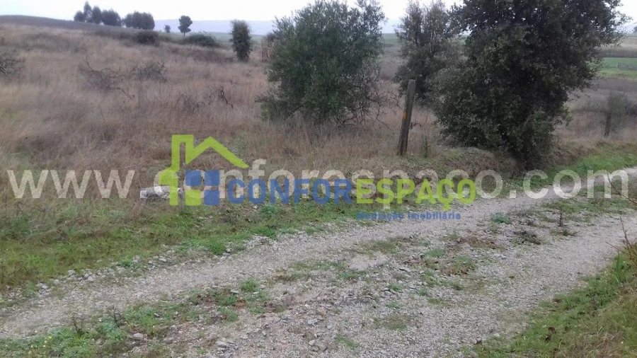 Terreno para Venda em Ladoeiro Foto 1