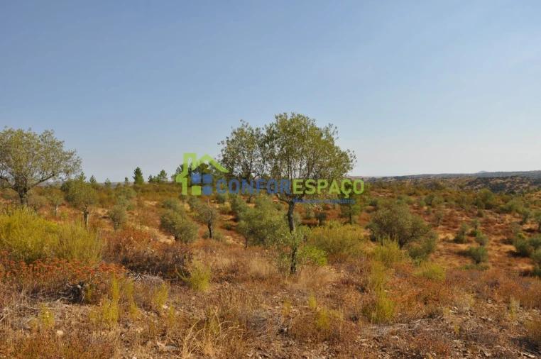Terreno para Venda em Ladoeiro Foto 26