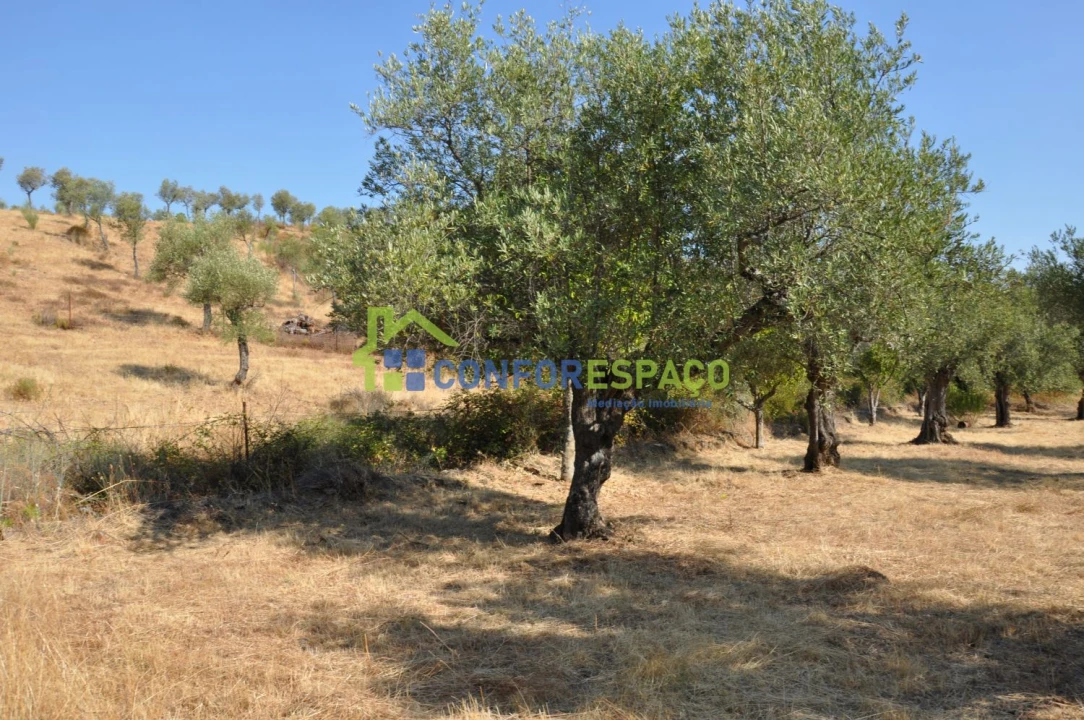 Terreno para Venda em Ladoeiro Foto 35