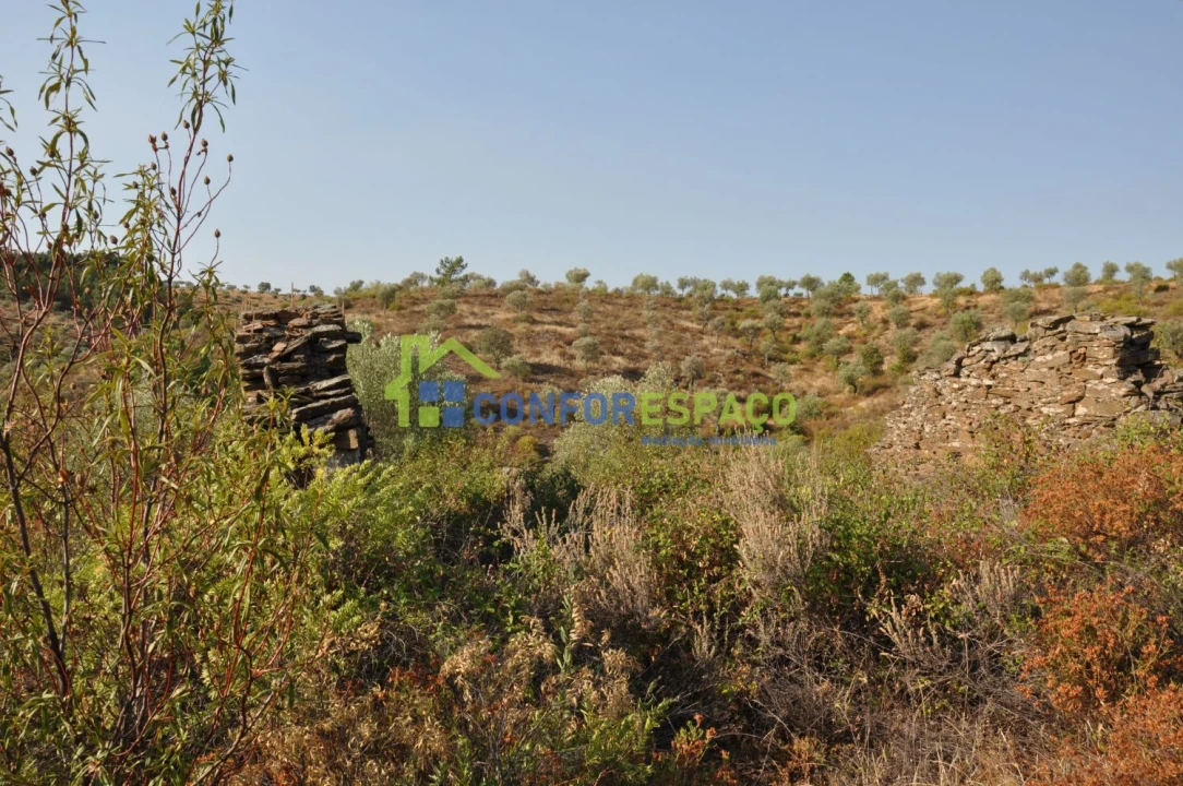 Terreno para Venda em Ladoeiro Foto 15