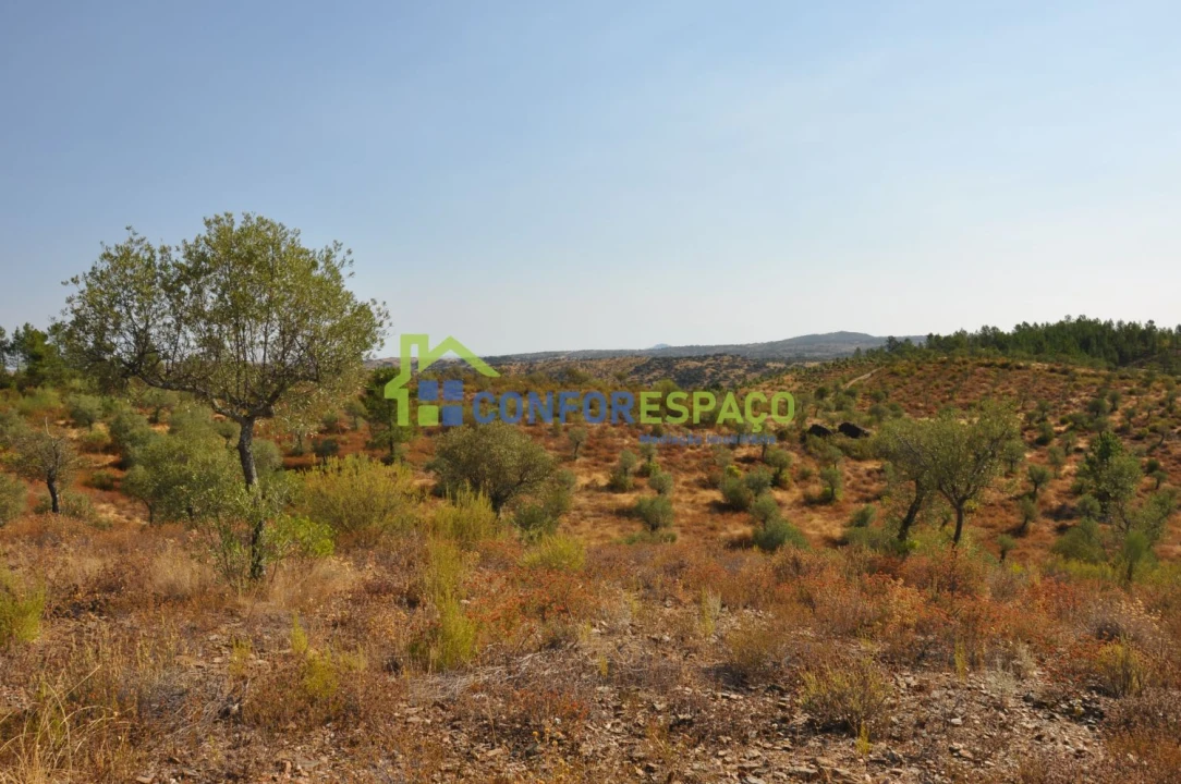 Terreno para Venda em Ladoeiro Foto 27