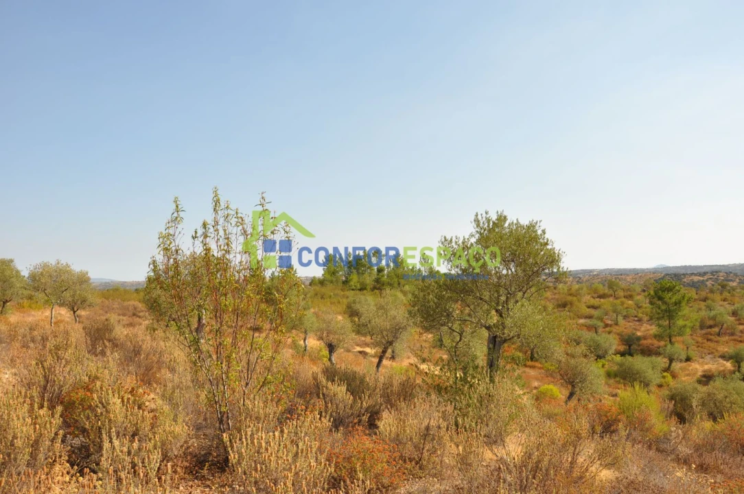 Terreno para Venda em Ladoeiro Foto 20