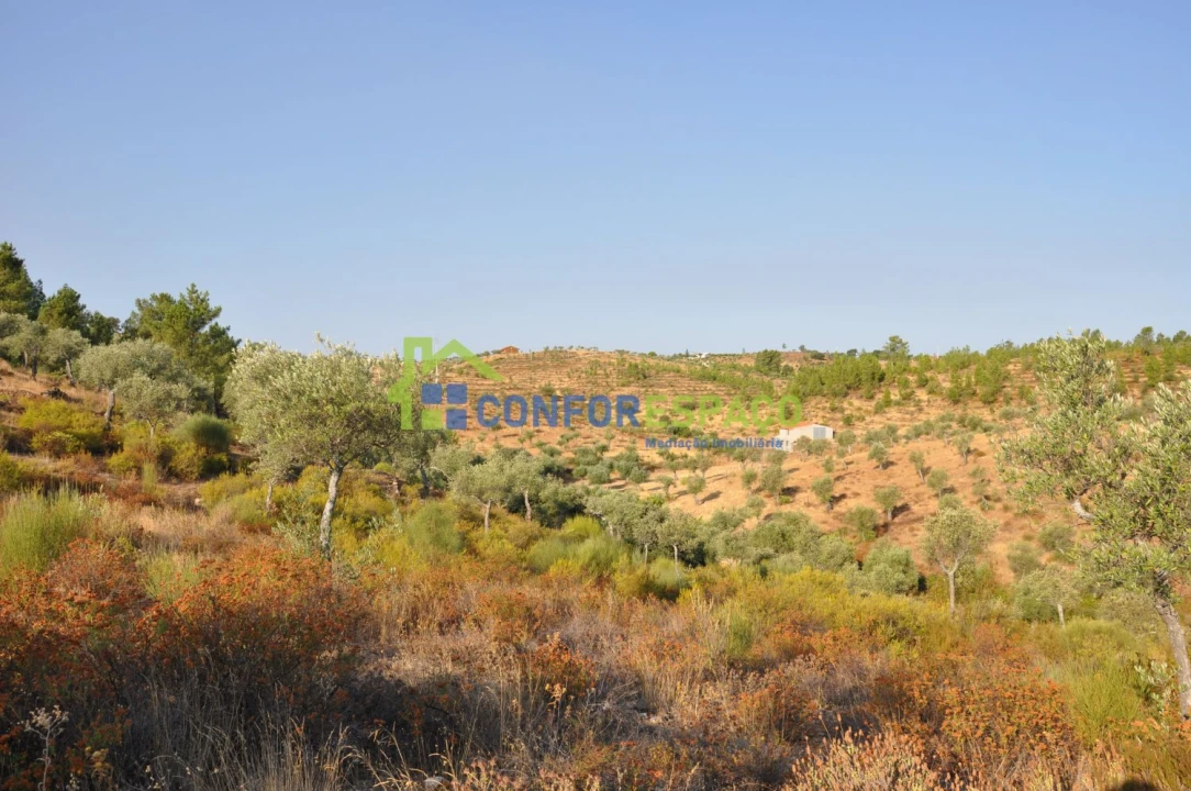 Terreno para Venda em Ladoeiro Foto 3