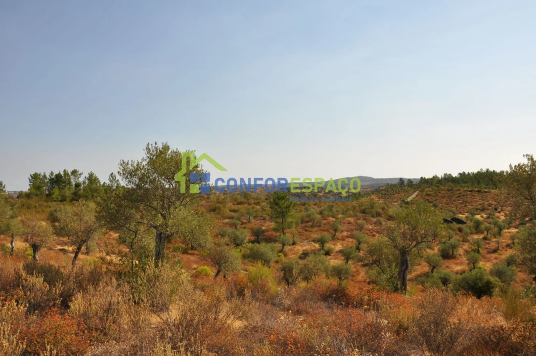 Terreno para Venda em Ladoeiro Foto 21