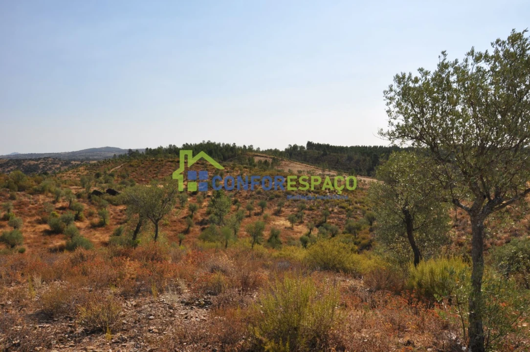Terreno para Venda em Ladoeiro Foto 28
