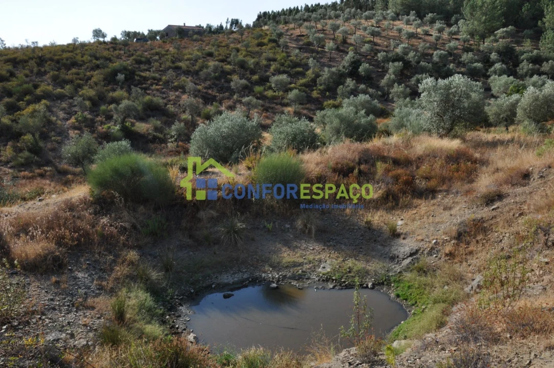 Terreno para Venda em Ladoeiro Foto 8