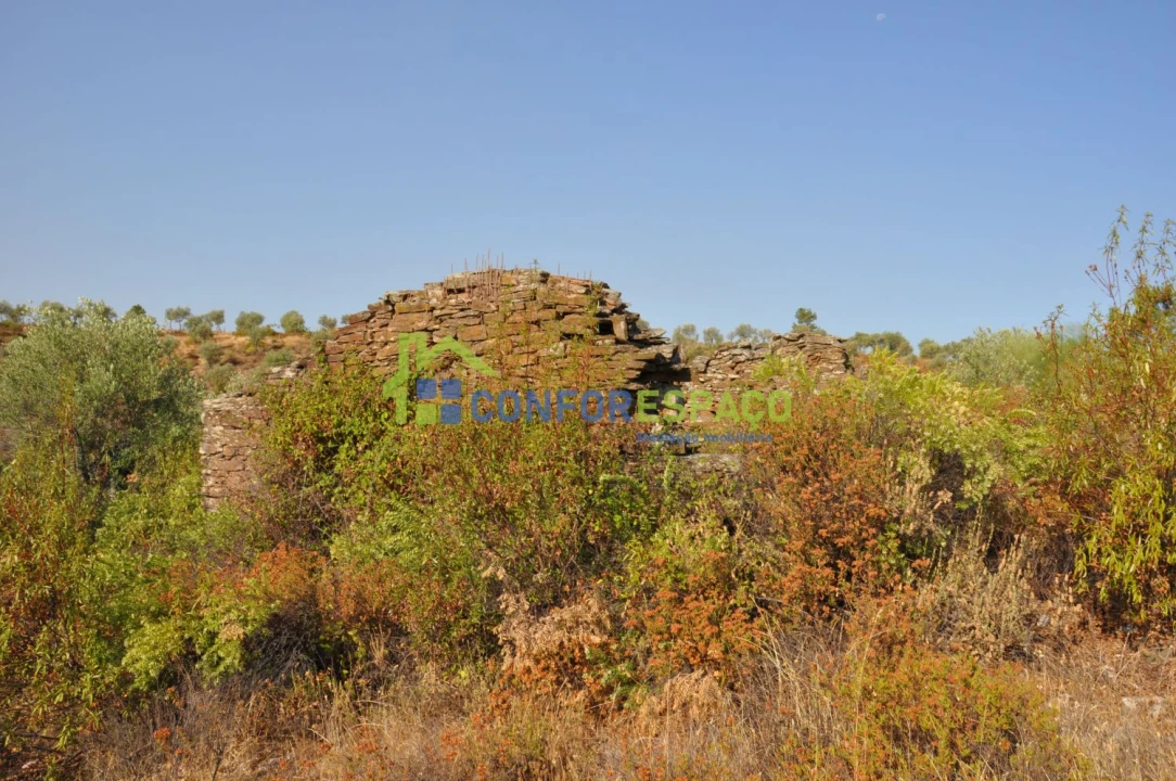 Terreno para Venda em Ladoeiro Foto 13
