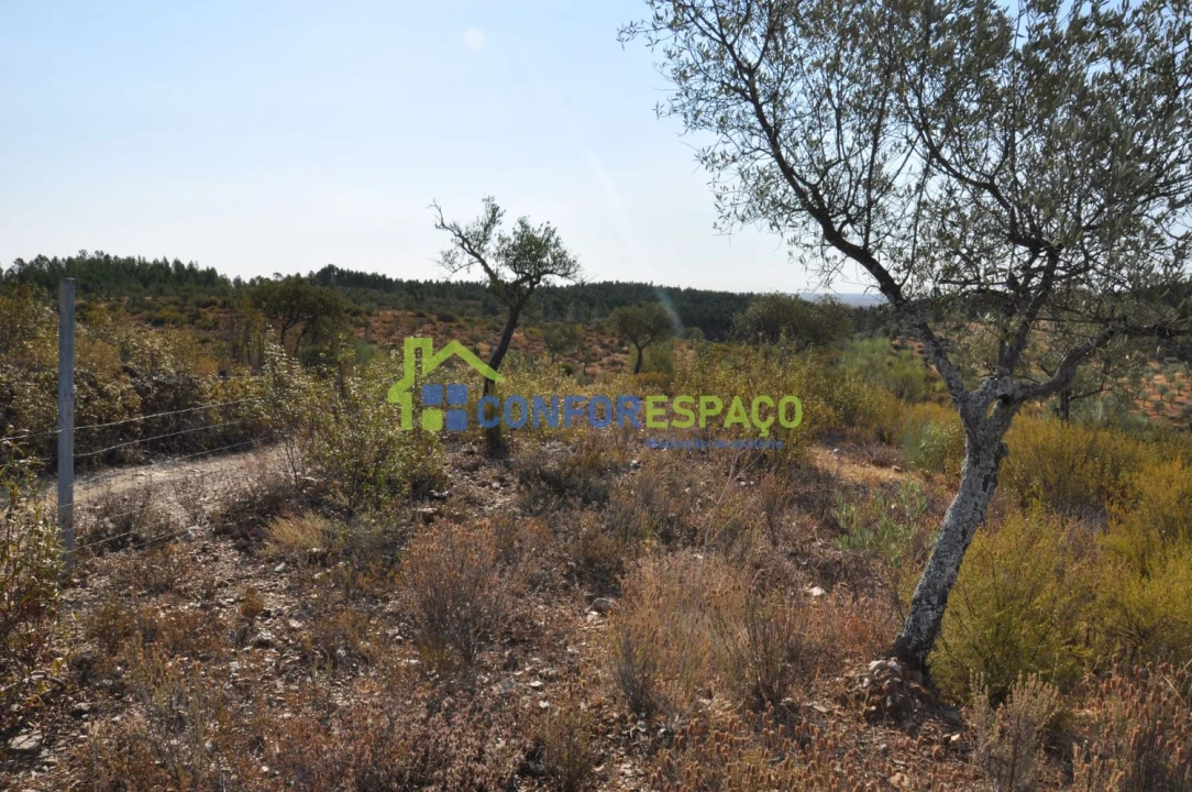 Terreno para Venda em Ladoeiro Foto 18