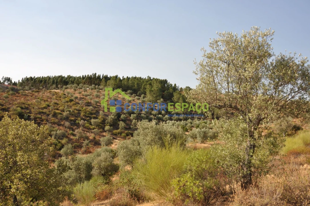 Terreno para Venda em Ladoeiro Foto 9