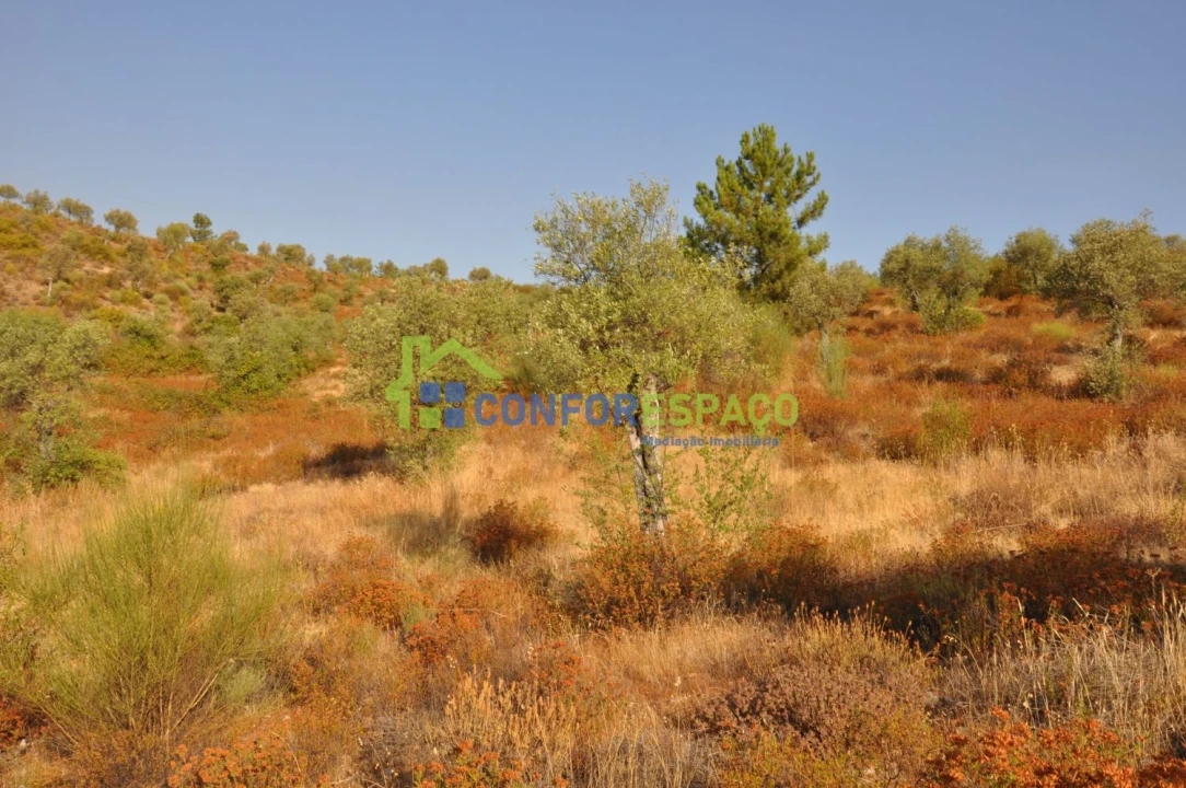 Terreno para Venda em Ladoeiro Foto 12