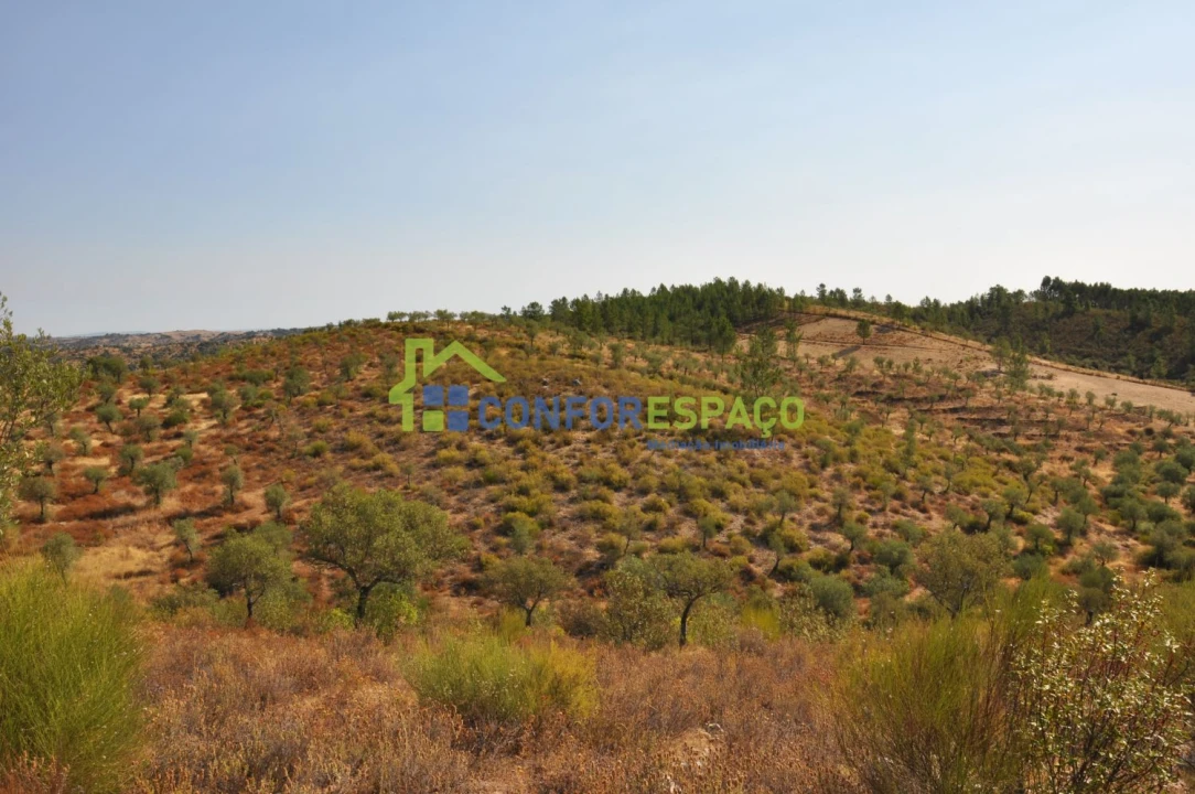 Terreno para Venda em Ladoeiro Foto 32