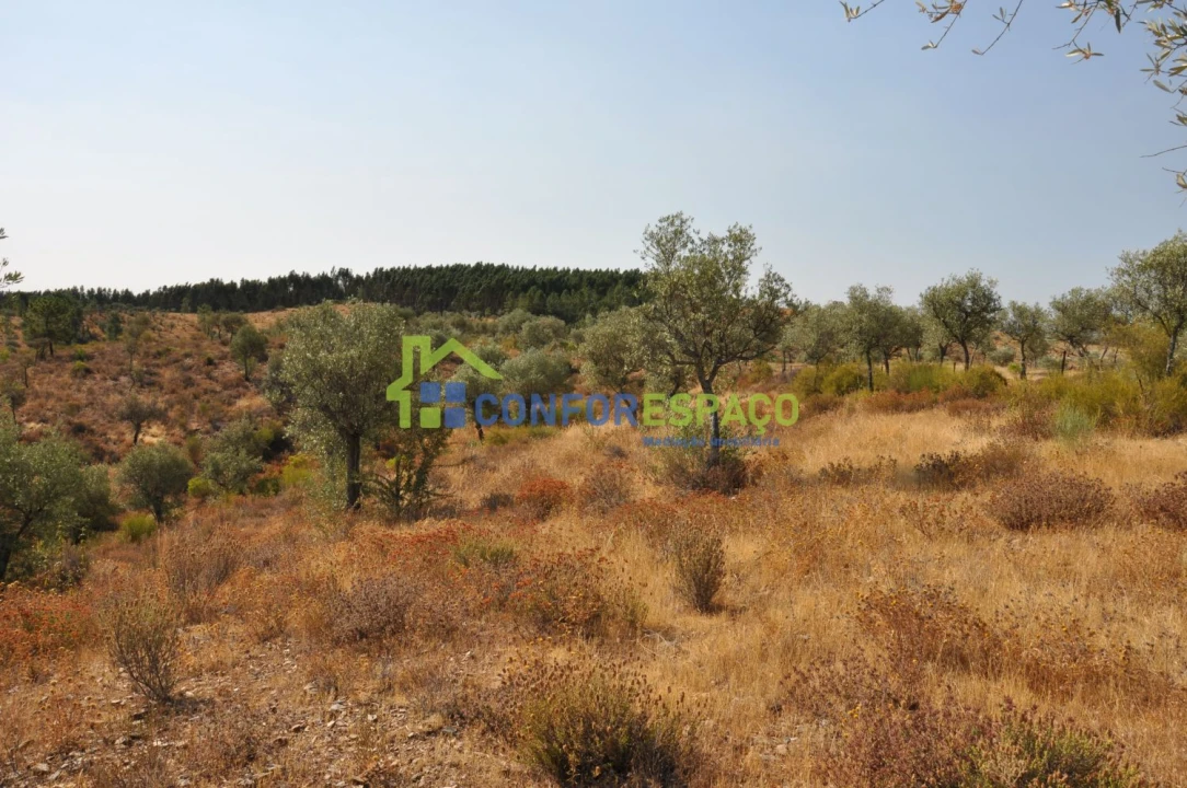 Terreno para Venda em Ladoeiro Foto 30