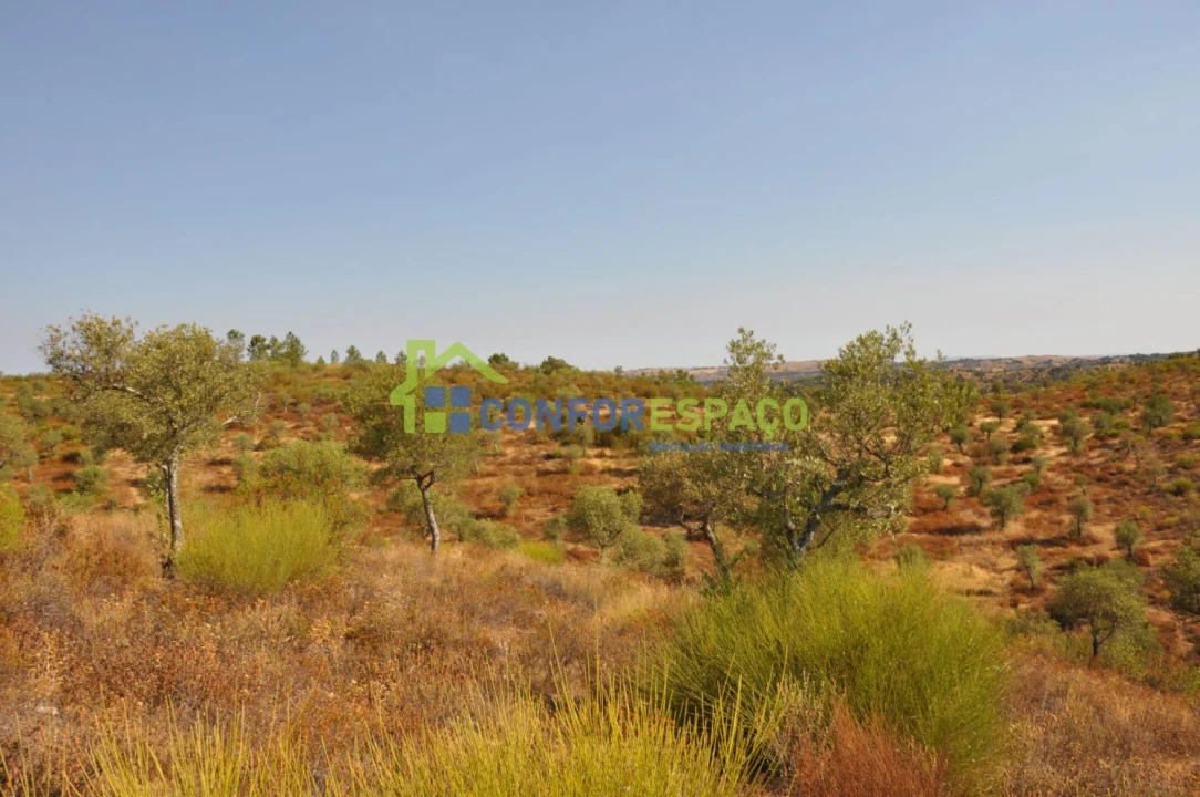 Terreno para Venda em Ladoeiro Foto 31