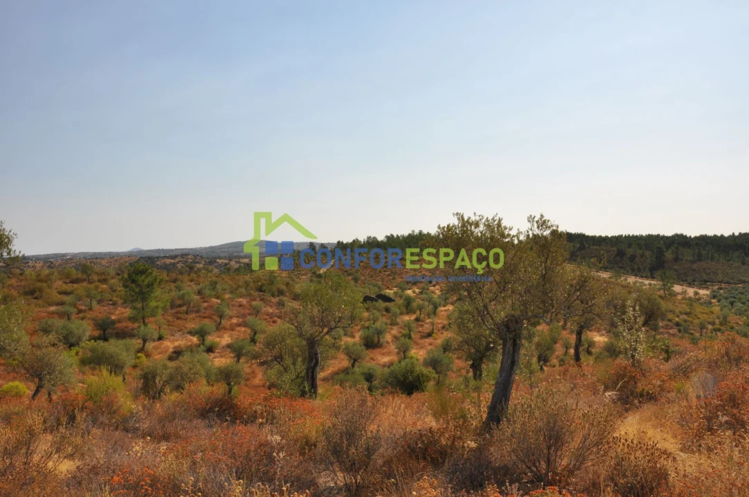 Terreno para Venda em Ladoeiro Foto 22