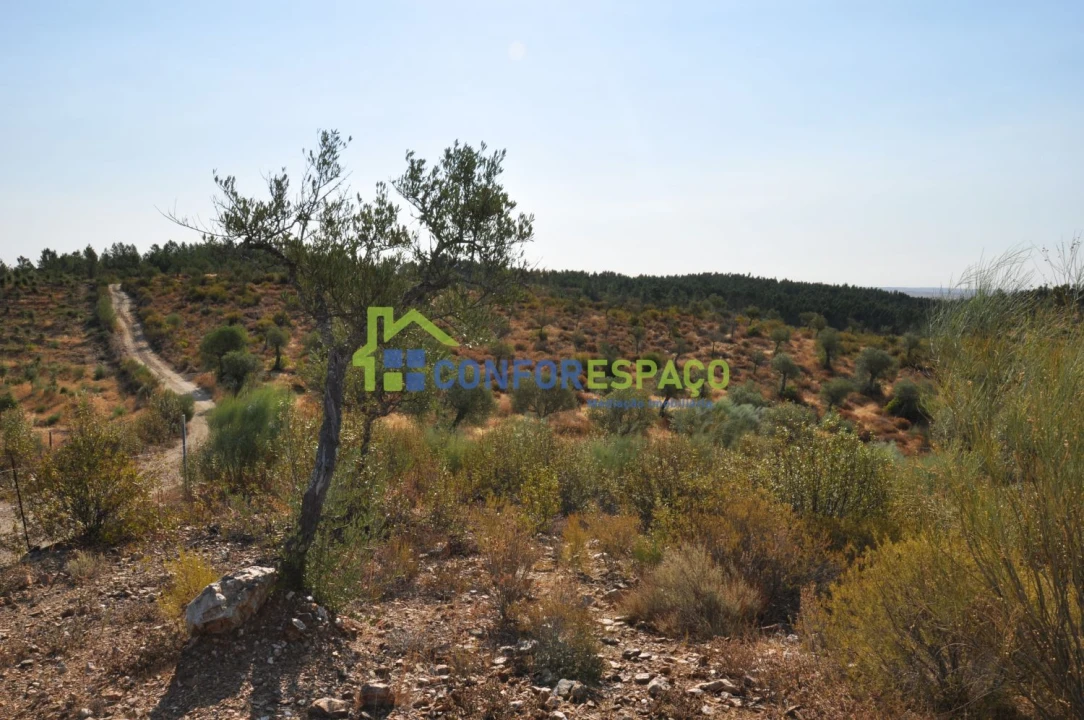 Terreno para Venda em Ladoeiro Foto 17