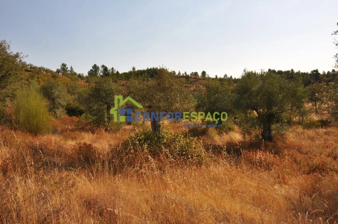 Terreno para Venda em Ladoeiro Foto 4