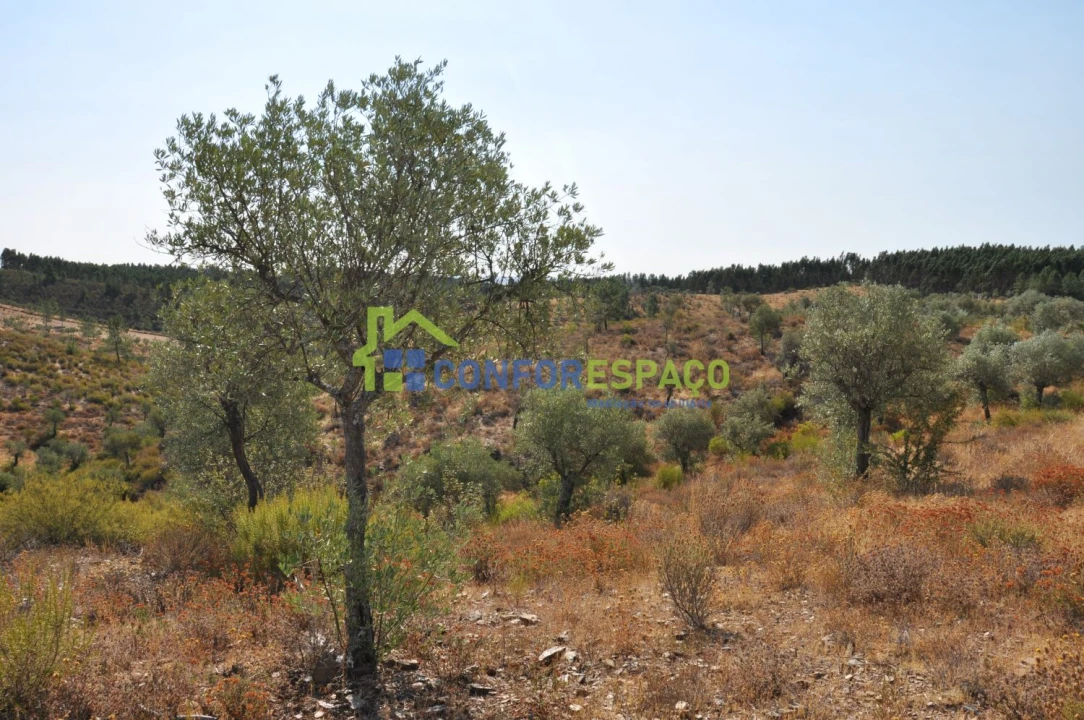 Terreno para Venda em Ladoeiro Foto 29