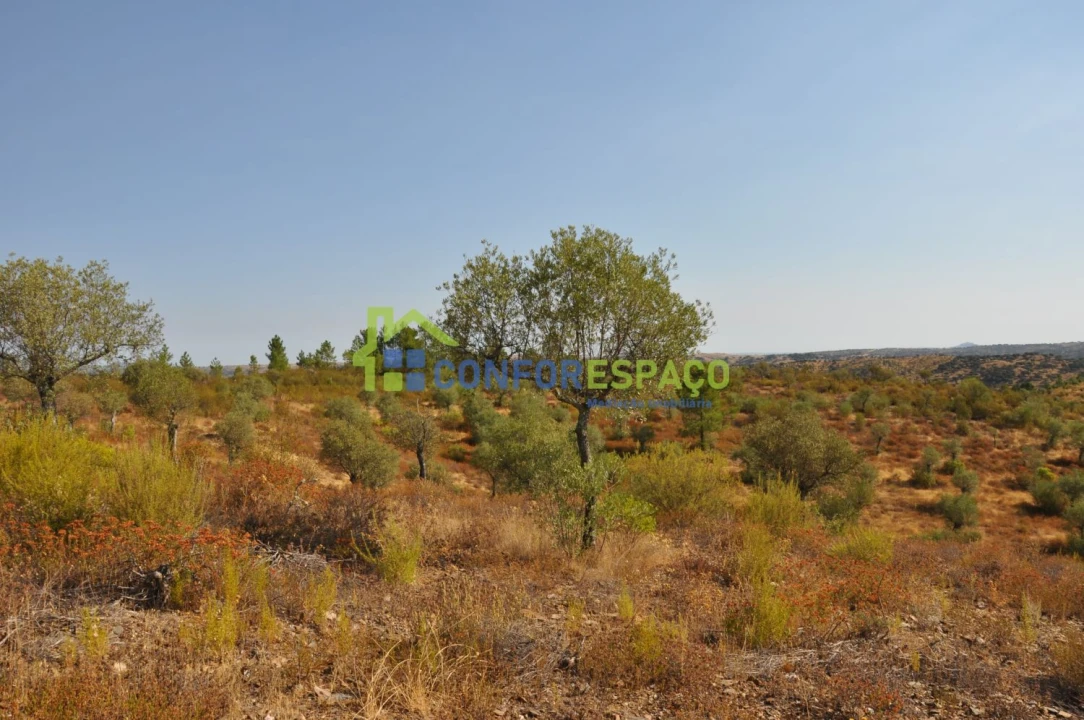 Terreno para Venda em Ladoeiro Foto 26