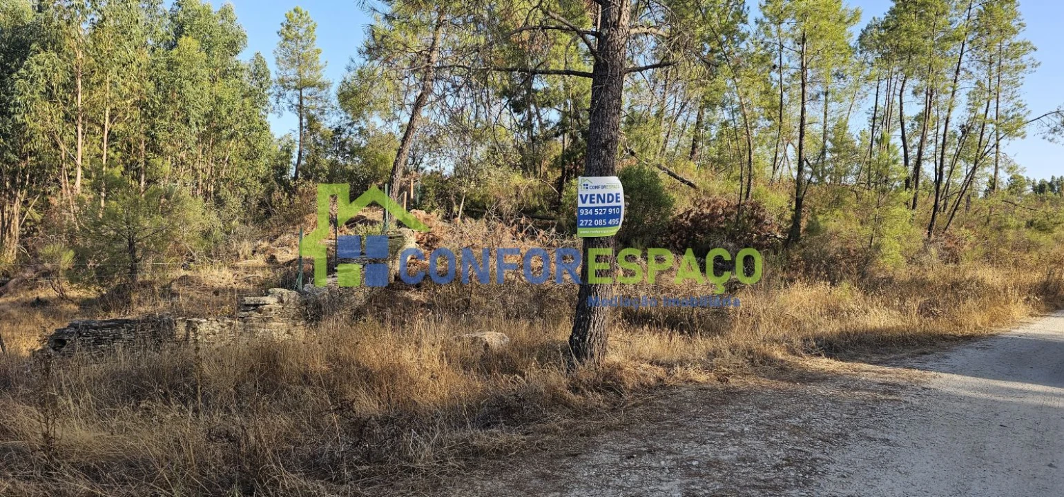 Terreno para Venda em Benquerenças Foto 1