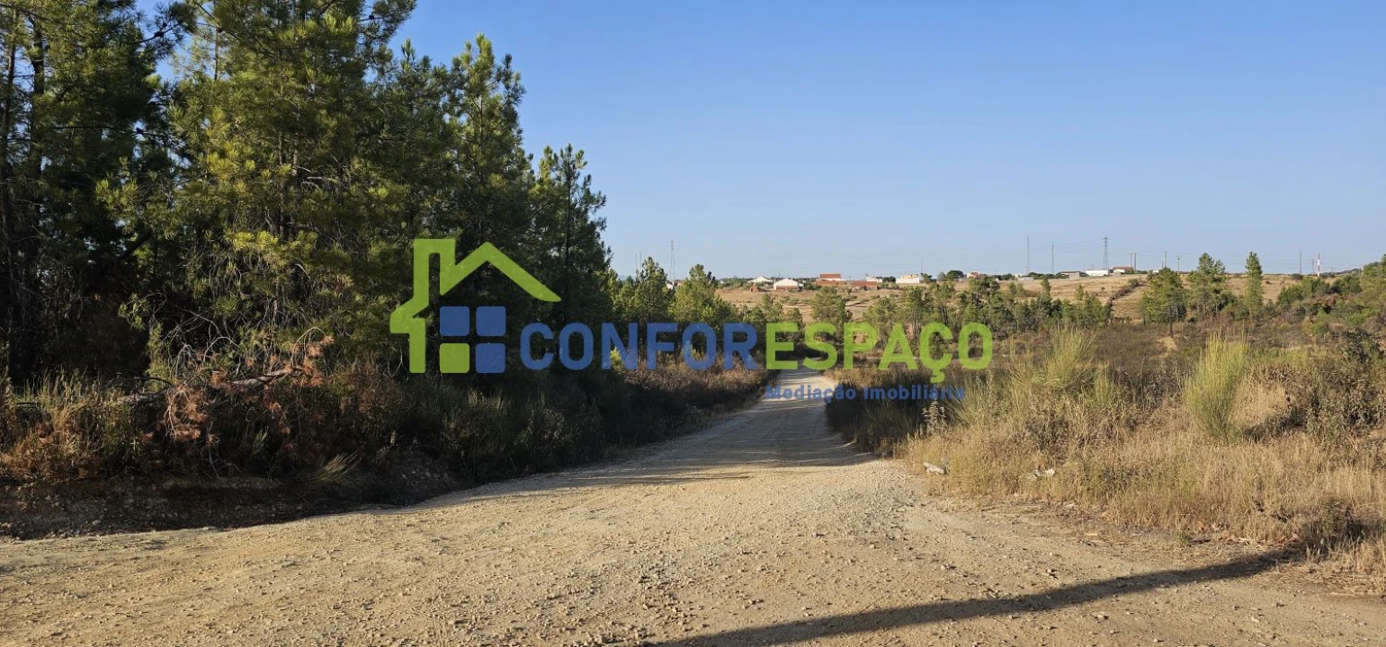 Terreno para Venda em Benquerenças Foto 3