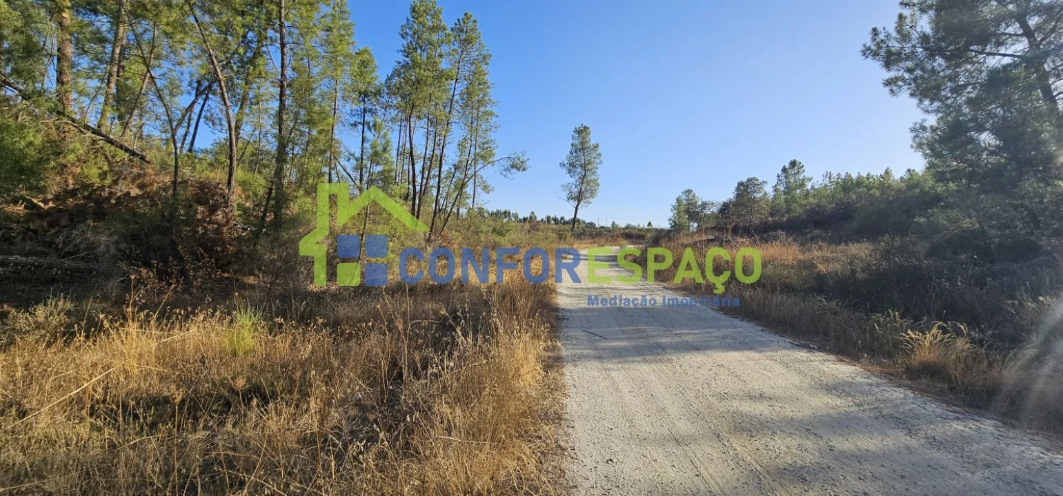 Terreno para Venda em Benquerenças Foto 2