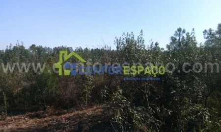 Terreno para Venda em Castelo Branco