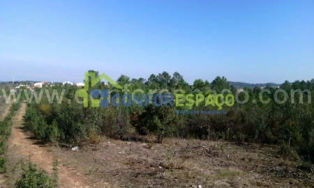 Terreno para Venda em Castelo Branco