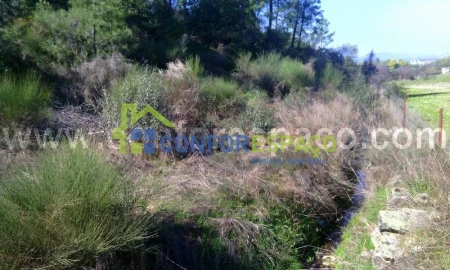 Terreno para Venda em Castelo Branco