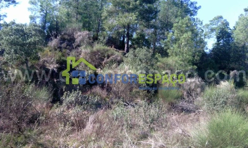 Terreno para Venda em Castelo Branco Foto 4