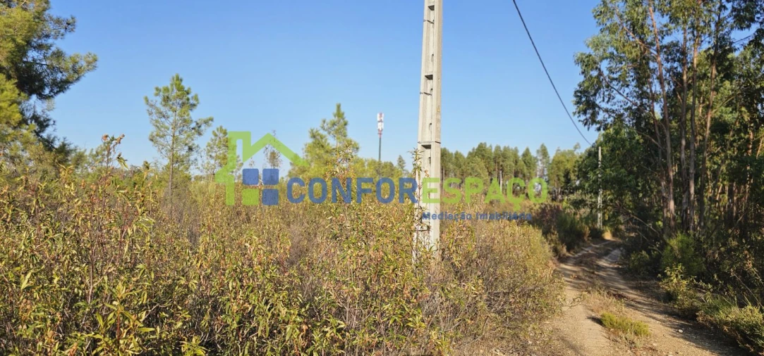 Terreno para Venda em Benquerenças Foto 7