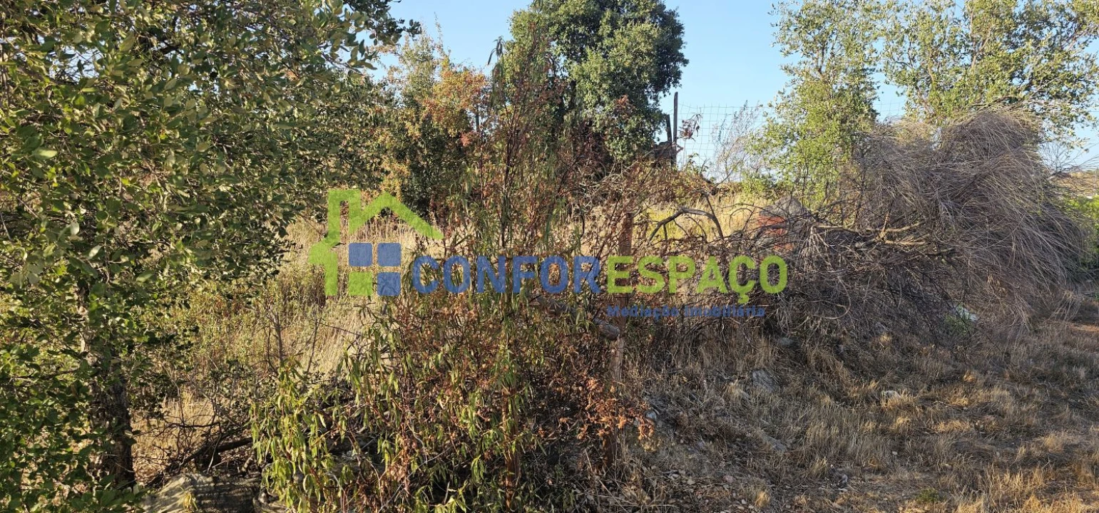 Terreno para Venda em Benquerenças Foto 12