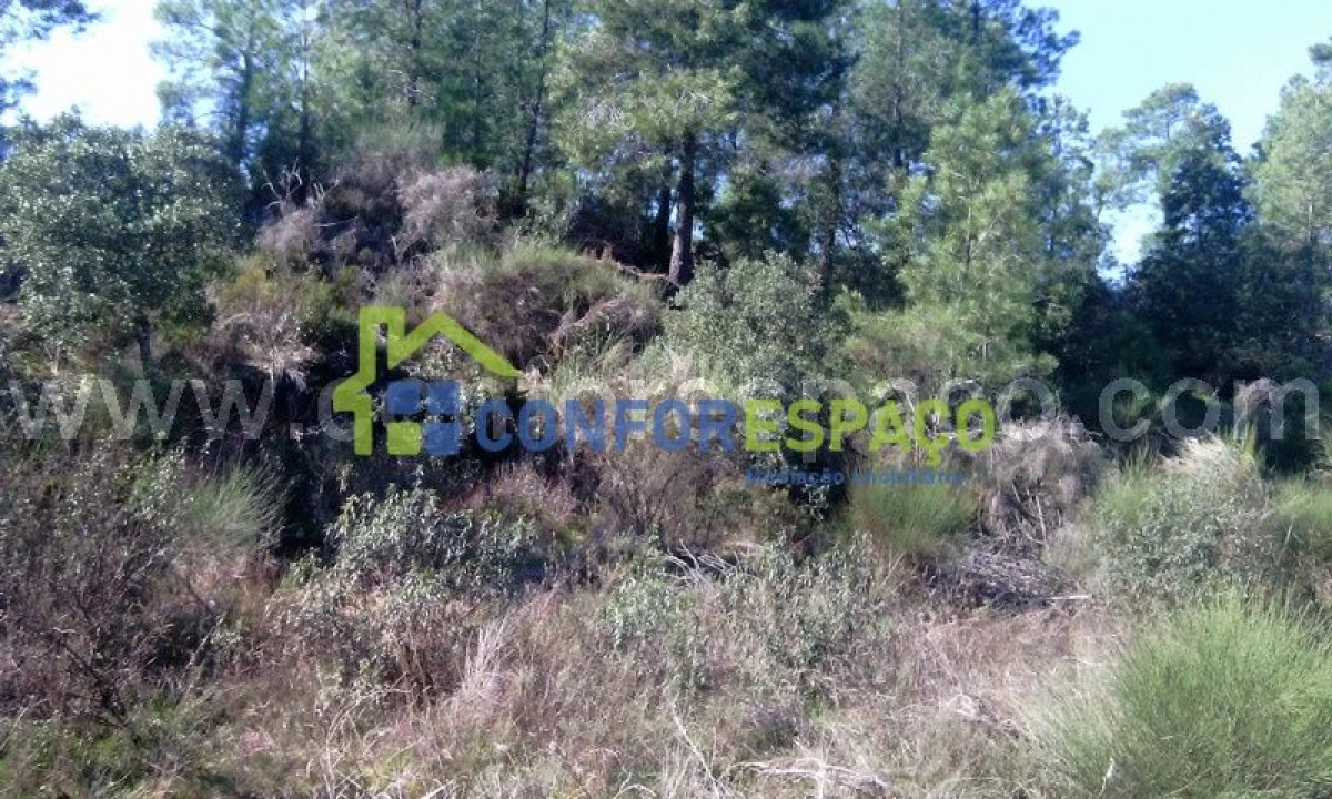 Terreno para Venda em Castelo Branco Foto 4