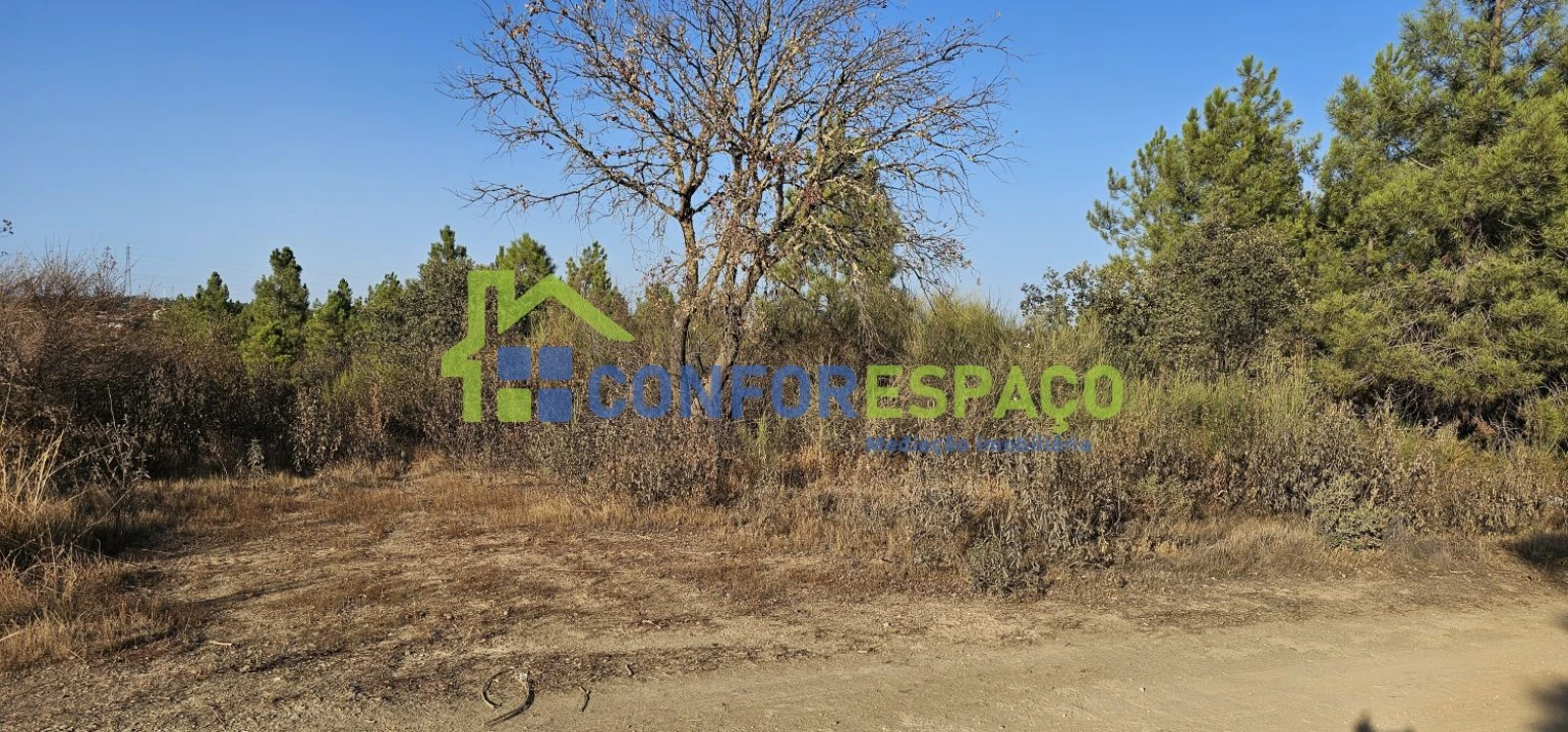 Terreno para Venda em Benquerenças Foto 5