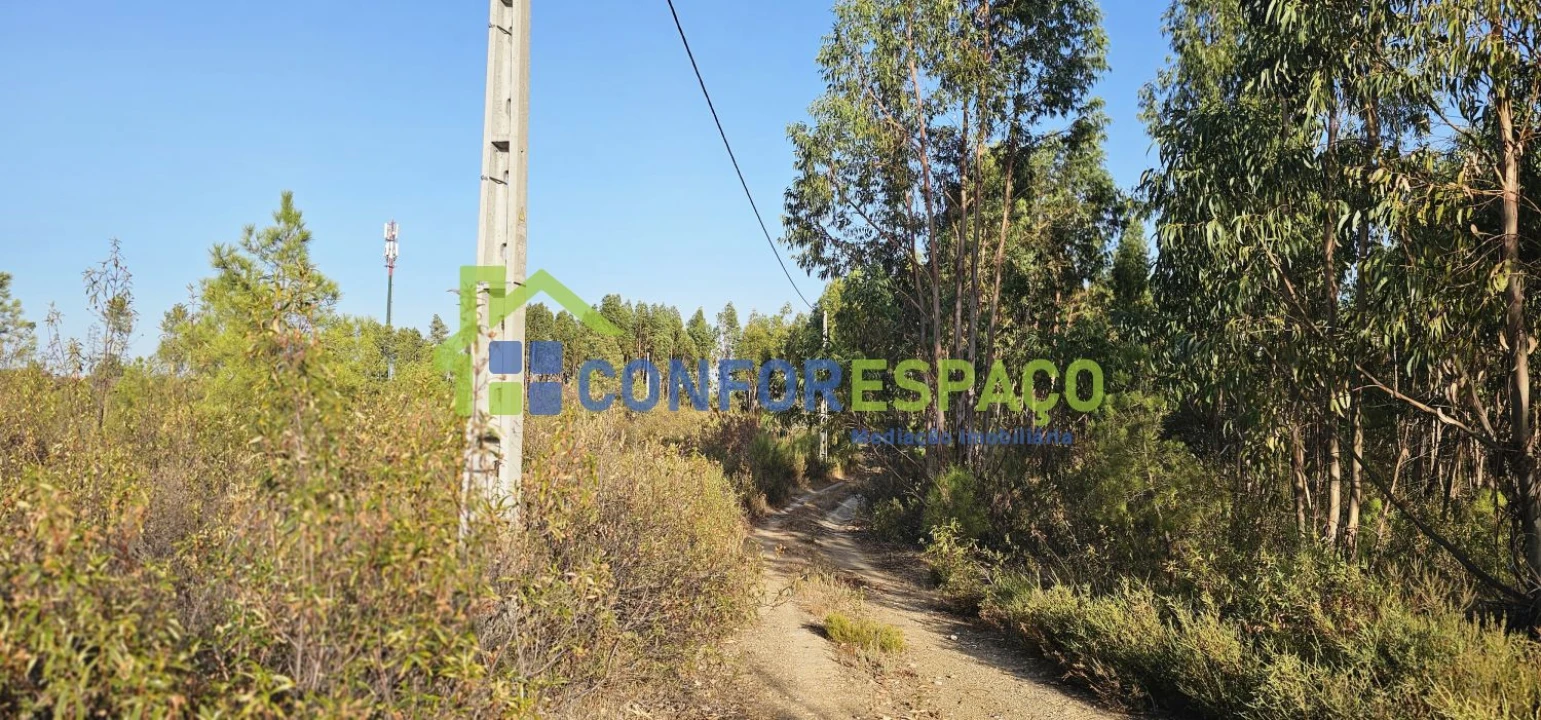 Terreno para Venda em Benquerenças Foto 8