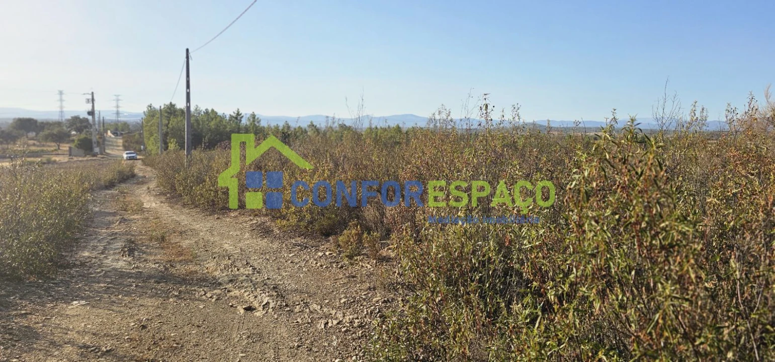 Terreno para Venda em Benquerenças Foto 9