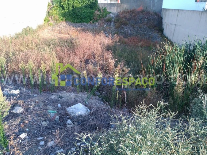 Terreno para Venda em Castelo Branco Foto 2